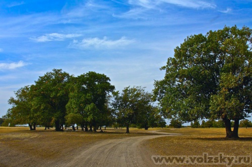 ������� ������: ����� ��������