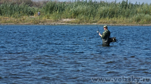 ������� ������: �� "����� �����"