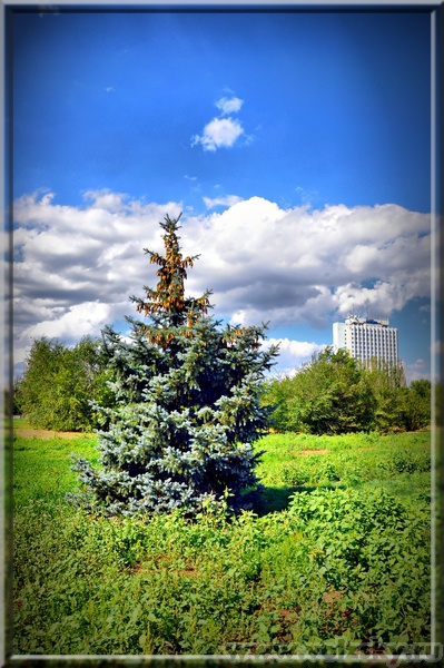 KORTEG: ������� ���