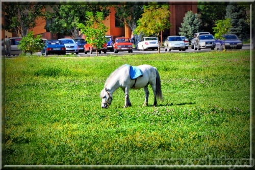 KORTEG: ����