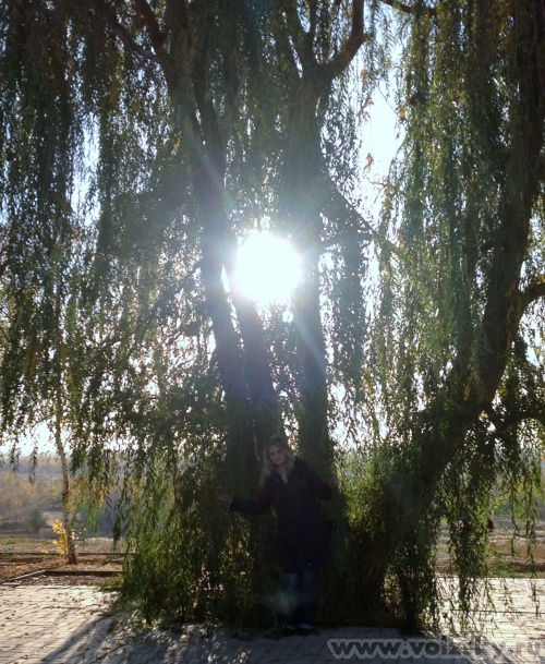 ����: ������