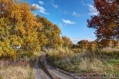 ������: �� "������� �����"