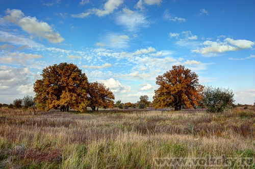 ������: �� "������� �����"