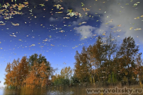 ������� ������: ��������