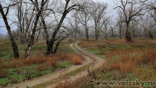 ������� ������: ������� �����