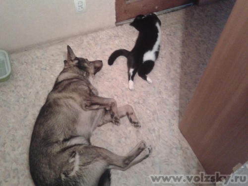 Lyubava: ������ ����� ���������� ����...