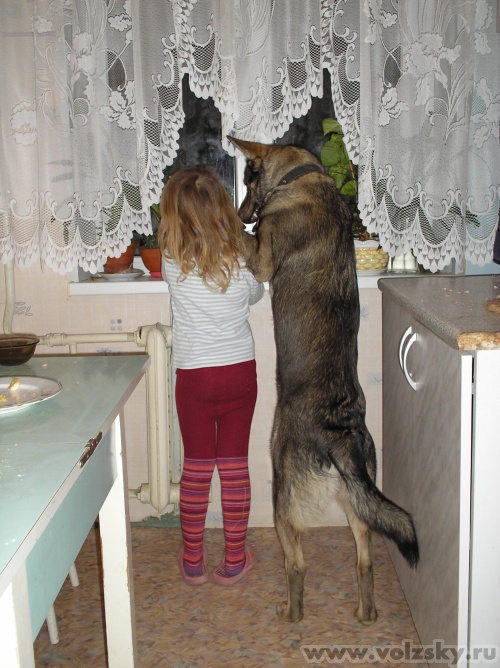 Lyubava: --"���� ����� �����!"...