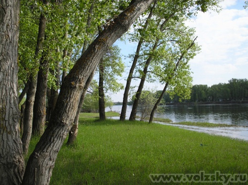 Lyubava: �����, ���� ������