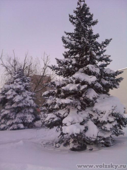 �����: ���� �����