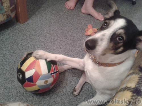 Lyubava: ���-���������