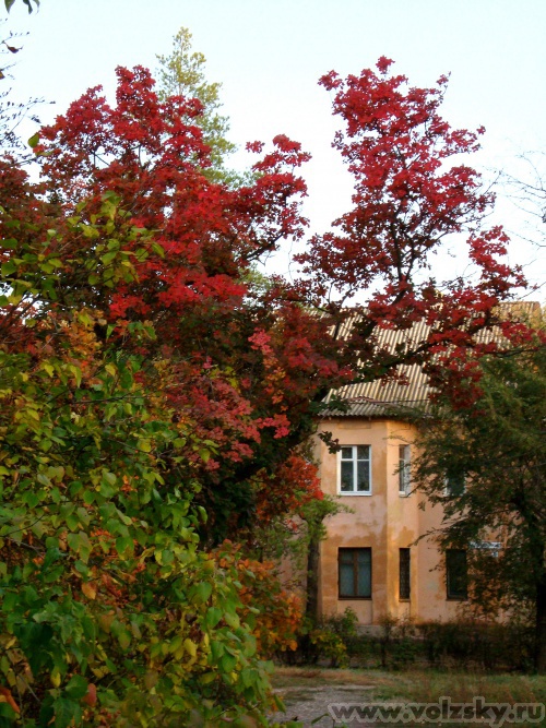 �����: ������� ������