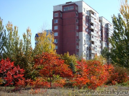 �����: ������� ������