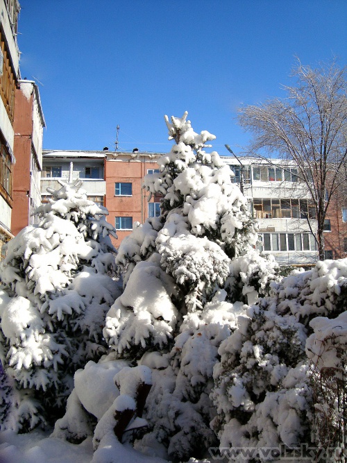 �����: ������ ������