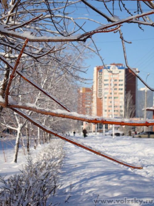 �����: ����