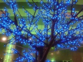 Lyubava: Светодиодное дерево у Волгамолла