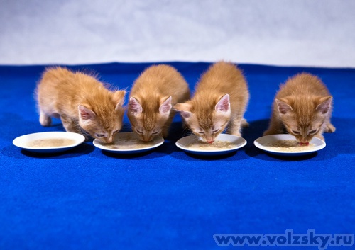 ������: � ������ �����!