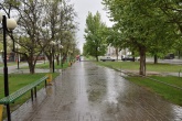 Пескишев: Весенний дождик