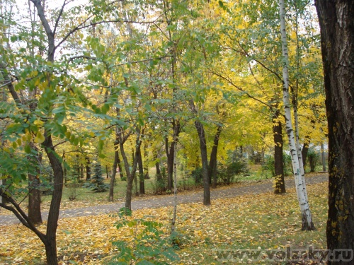 �����: � � ������ �����...