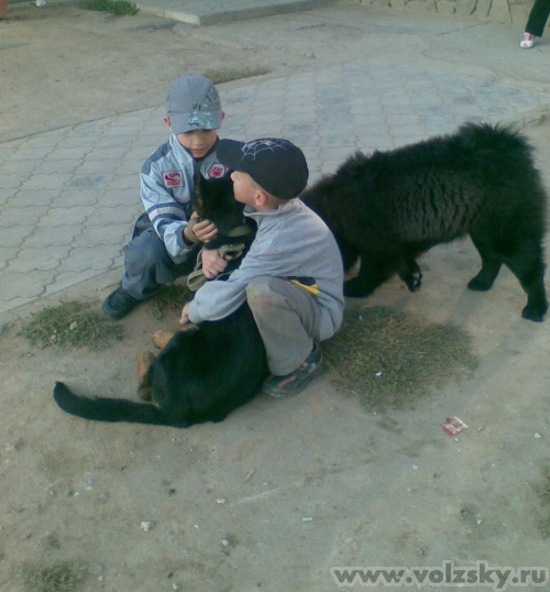 ������: ������.