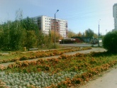 Калина: Осень на ул. Оломоуцкая