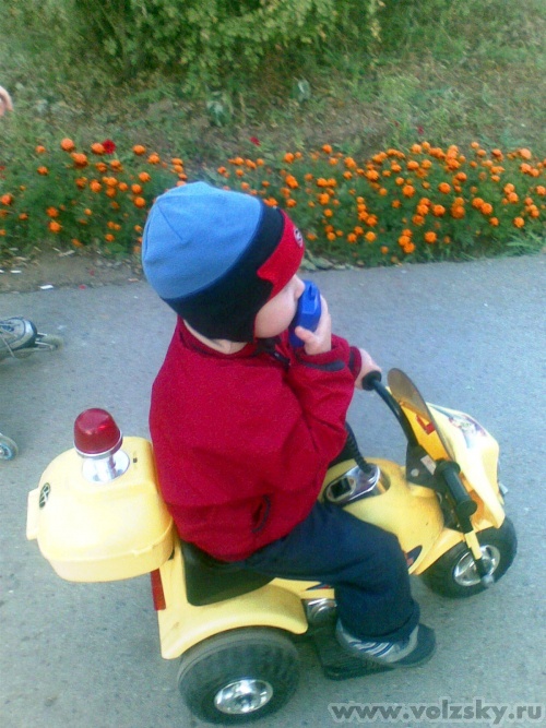 ������: �������� �������