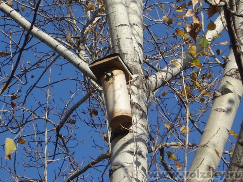 ��������: ��������� �������� "������� ���" ���������� �������� ������� � �������� ������� ���������.