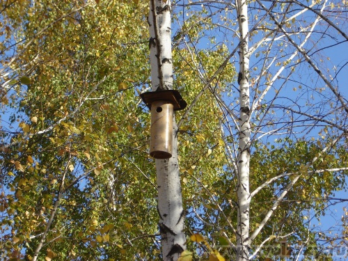 ��������: "������� ���" � 103.