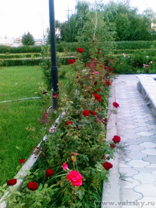 ������: � ��������� � ���� "���������"