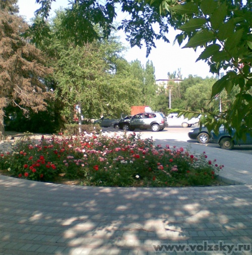 ������: ����� ���