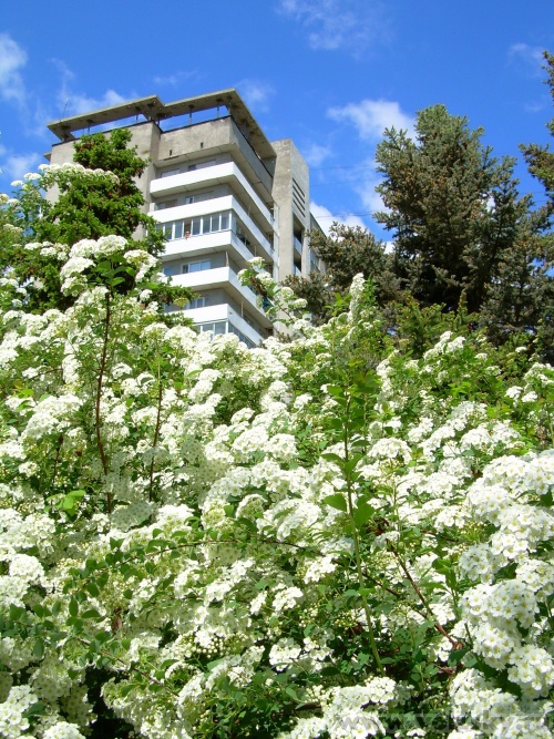 �������: ��������� �����