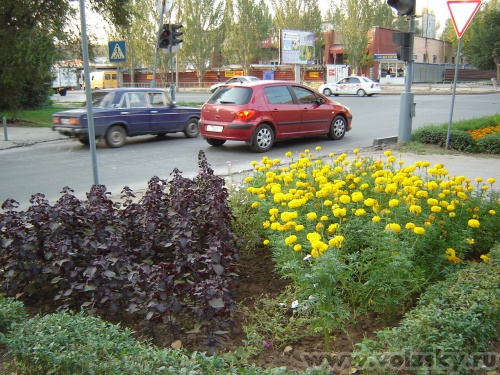 ��������: ����� ����.