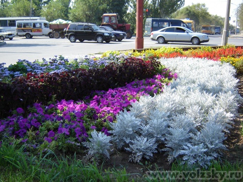 ��������: ��. ���������.