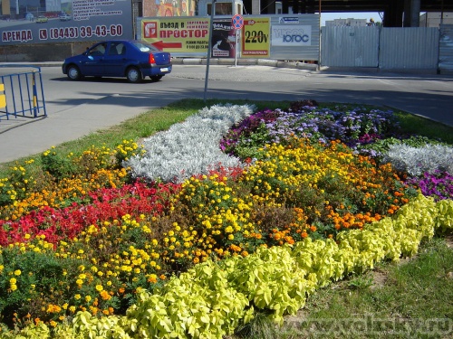 ��������: ������ ������ 2008 ����.