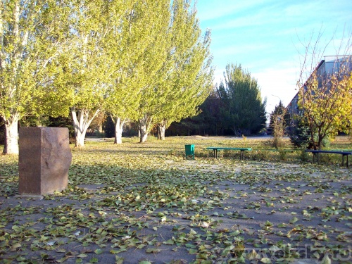 �������: --