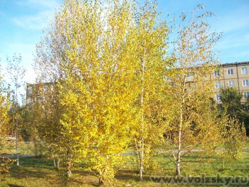 �������: --