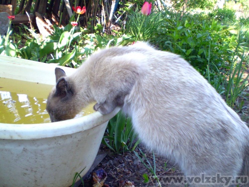 �������: --