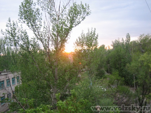 ������: �����