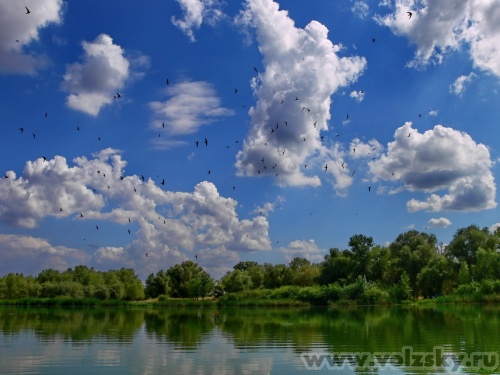 Konstantinovich: ����� �� 14 ����.