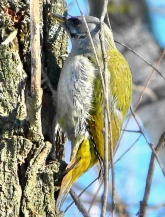 Konstantinovich:  . ,  1 4 ..