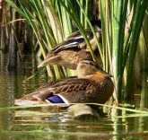 Konstantinovich:  .    14 ..