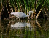 Konstantinovich: .  14 ..