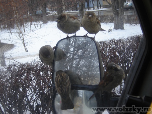 ��������: �� ������� ���������. (1)