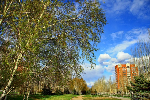 Konstantinovich: c���� �� ����� ������������