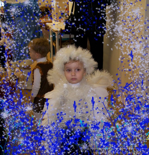 �����: ���������