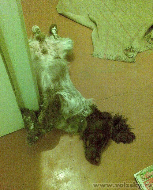 ������: ��, ��� �����!