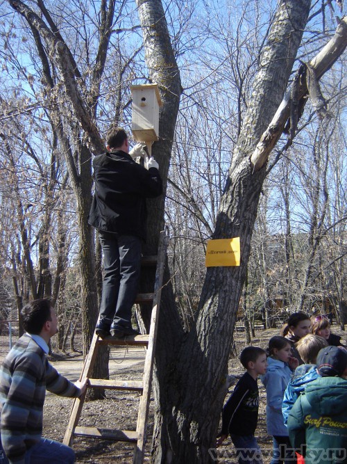 ��������: ���� ����. 6.04.2010. ��������� ������������.