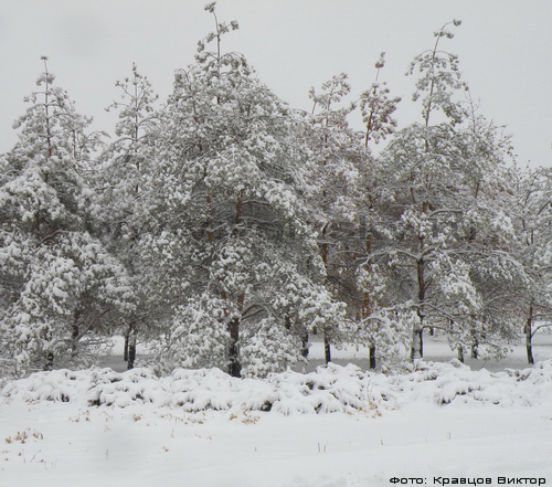 Превый день весны ознаменовался сильным снегопадом в Волжском