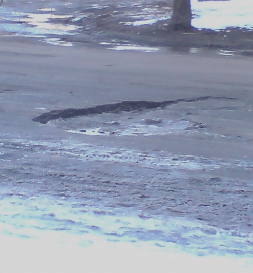 ������ ���������. ���� 2010