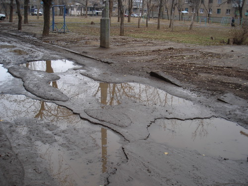 ������ ���������. ���� 2010