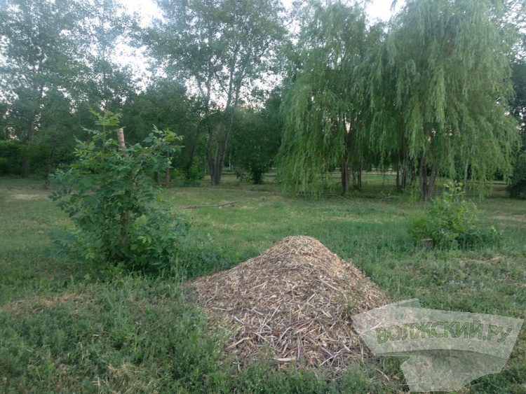 ���� ������ �����: ��������, ����� �� ���� � �������